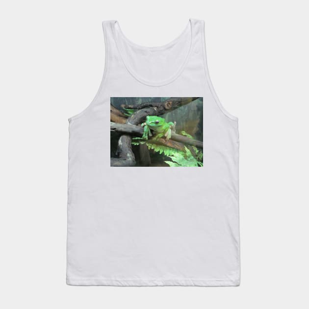 Green frog, photography. Tank Top by Design images